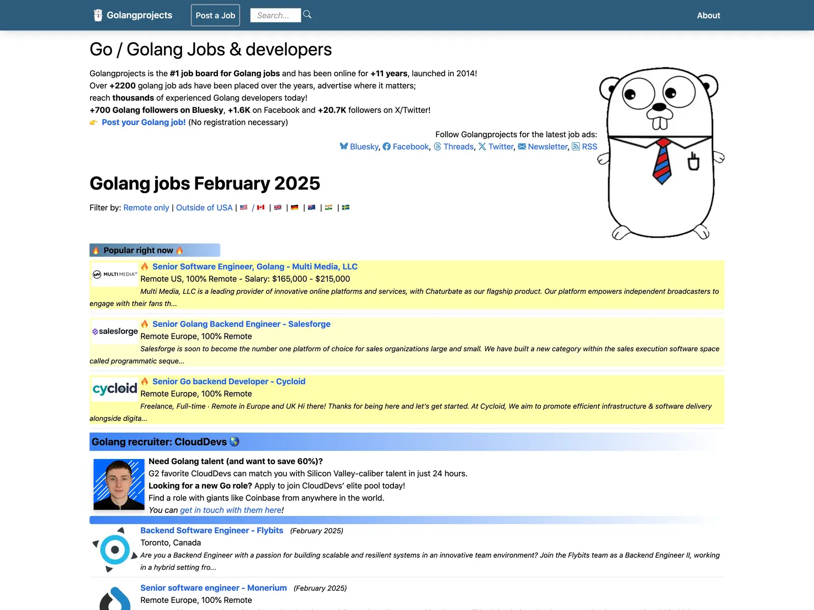 Screenshot of Golang Projects