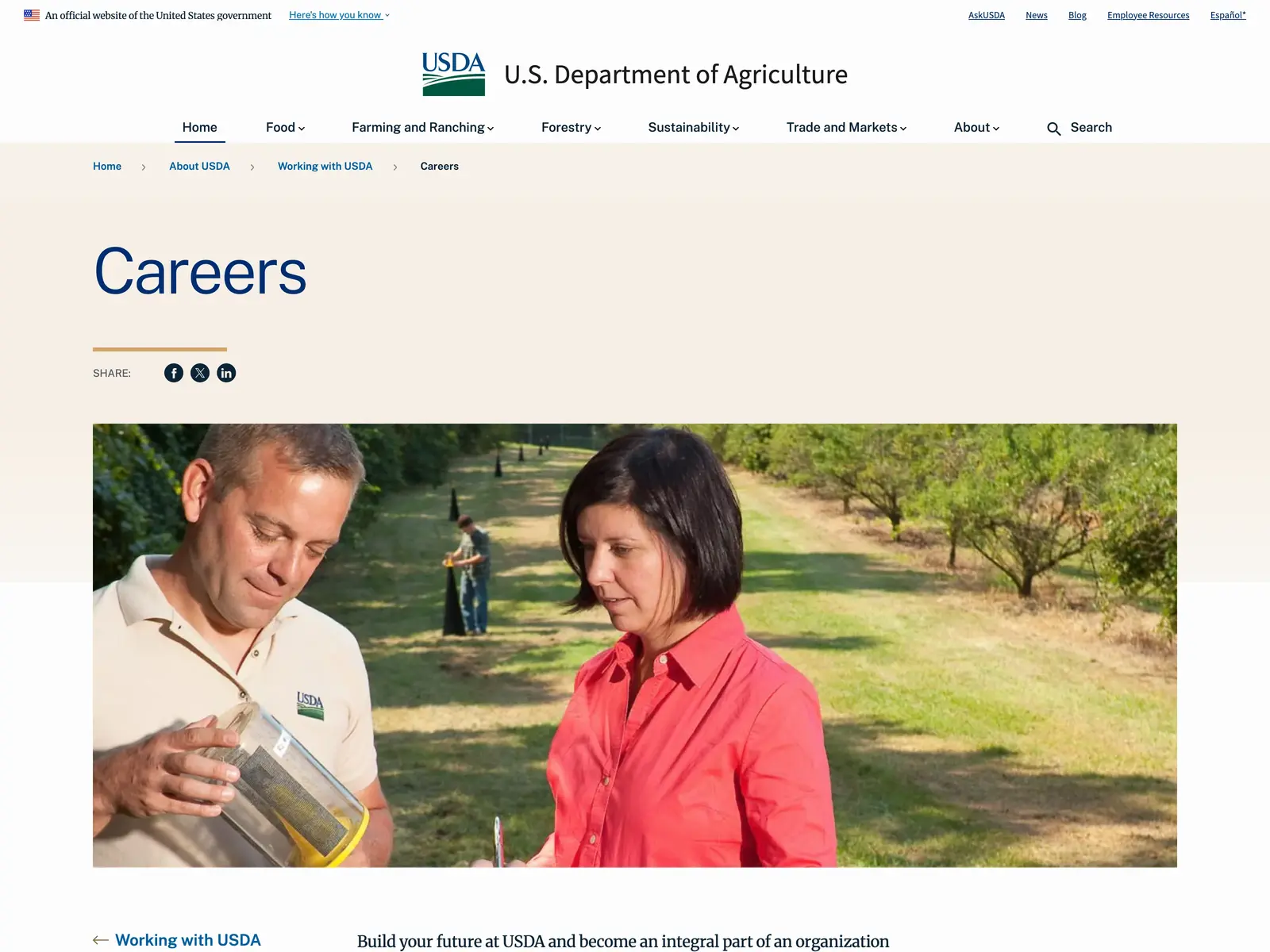 Screenshot of USDA Careers