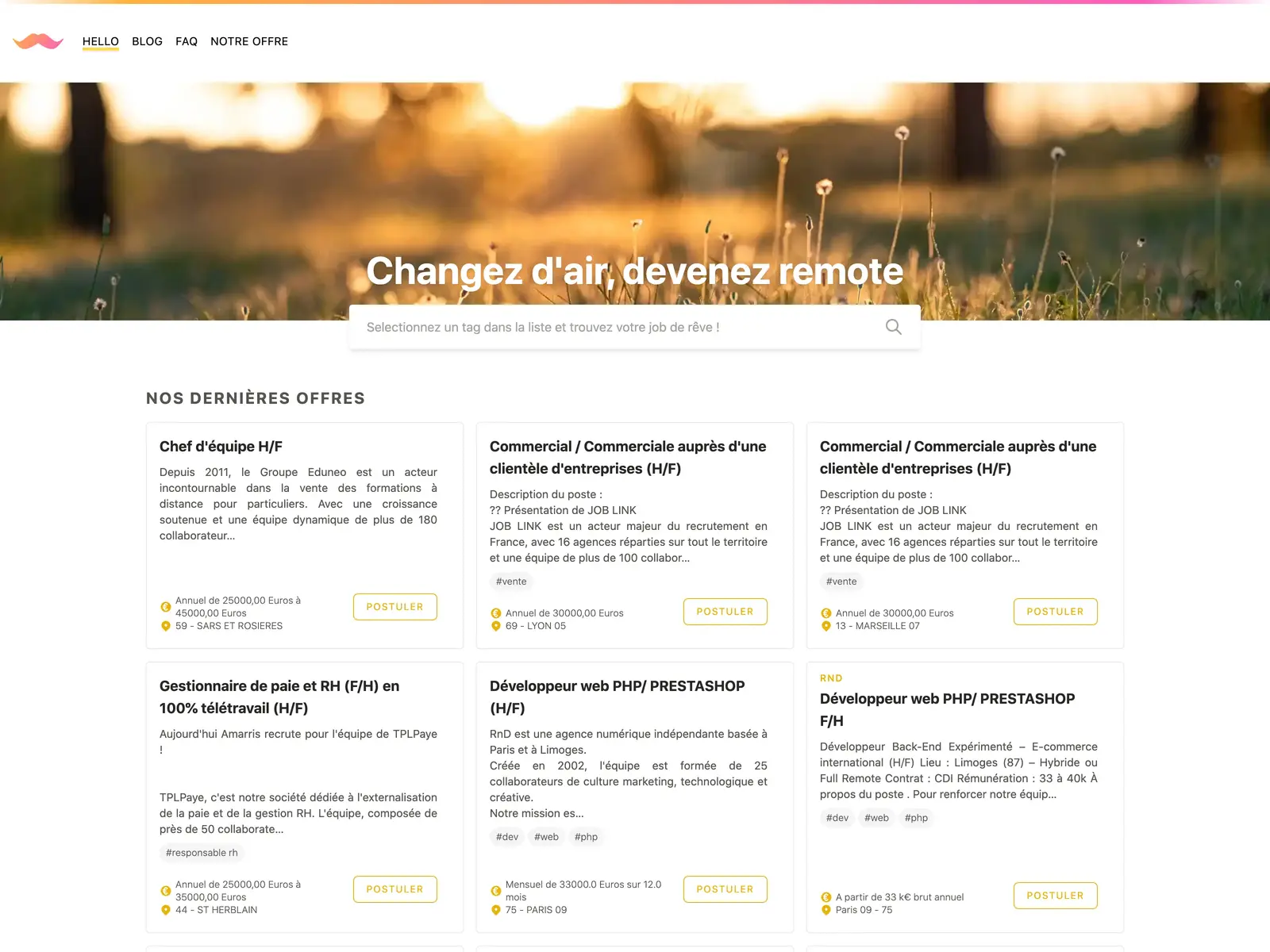 Screenshot of Teletravail.guru